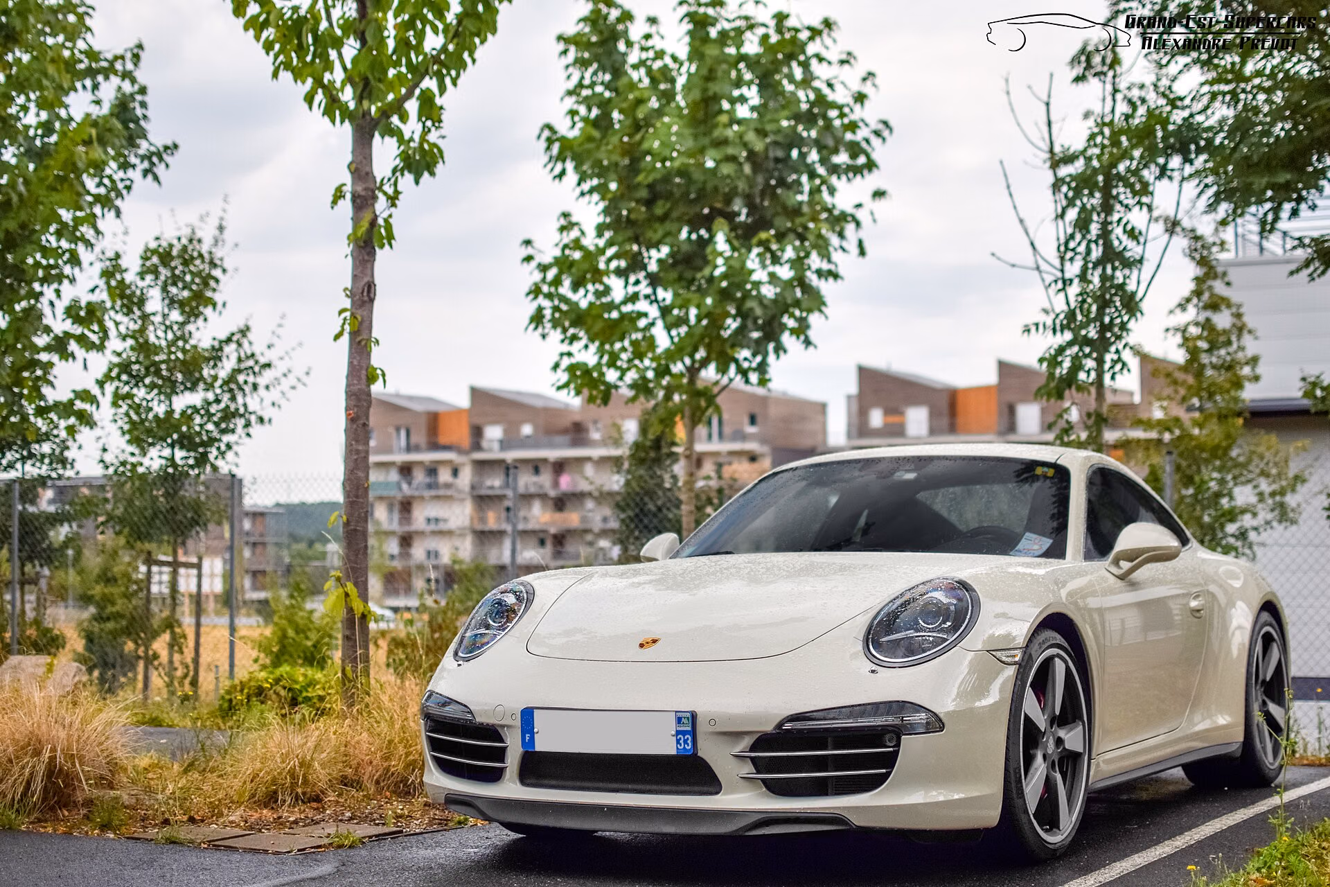 911 50th Anniversary Edition
